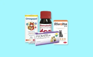 Farmacia e Higiene